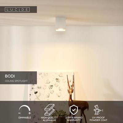 Lucide BODI - Ceiling spotlight - 1xGU10 - White